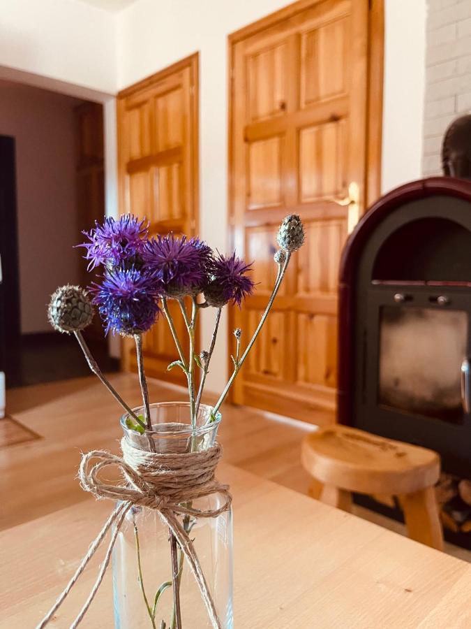Ferienwohnung Hill Durmitor Žabljak Exterior foto