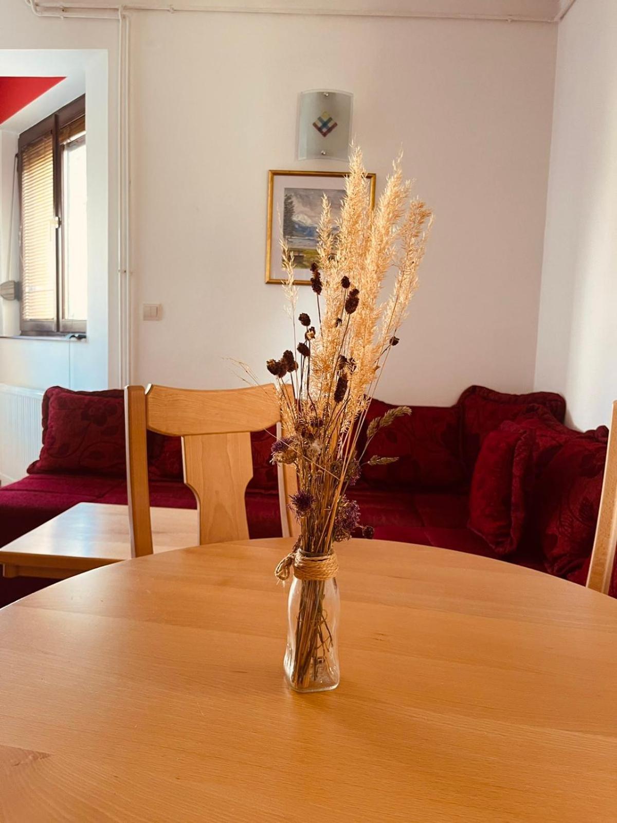 Ferienwohnung Hill Durmitor Žabljak Exterior foto